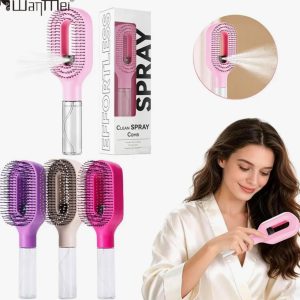 2 in 1 Water Sprayer Hairbrush